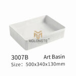 3007B