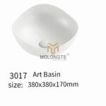 3017
