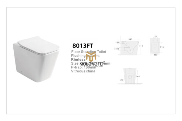 Floor stand toilet 8013FT - Image 2