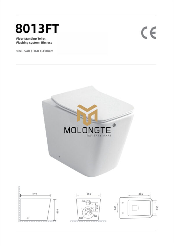 Floor stand toilet 8013FT