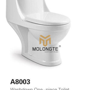 One piece toilet A8003