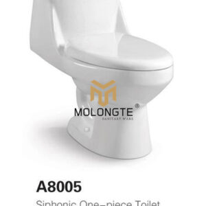 One piece toilet A8005