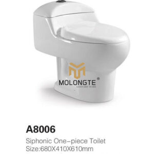 One piece toilet A8006