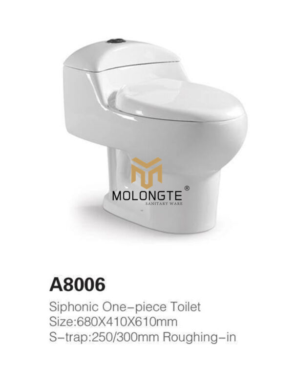 One piece toilet A8006