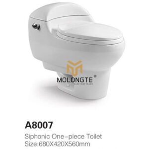 One piece toilet A8007