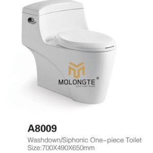 One piece toilet A8009