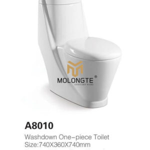 One piece toilet A8010