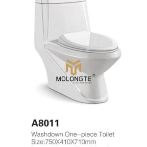 One piece toilet A8011