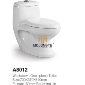 One piece toilet A8012