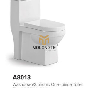 One piece toilet A8013