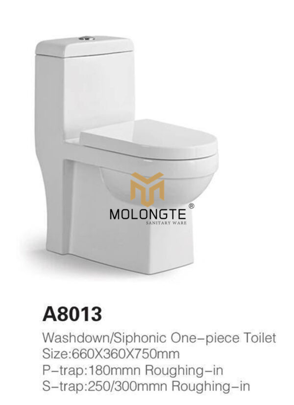 One piece toilet A8013