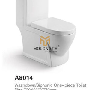 One piece toilet A8014