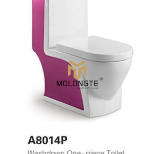 One piece toilet A8014P