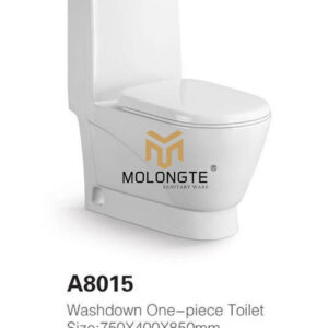 One piece toilet A8015