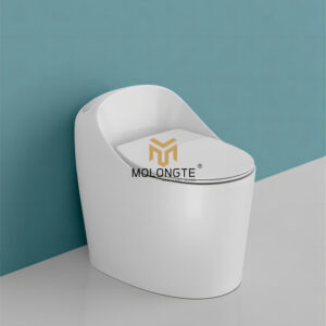 One Piece Toilet A8100