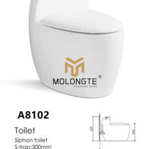 One Piece Toilet A8102