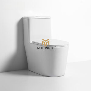 One Piece Toilet  A8105