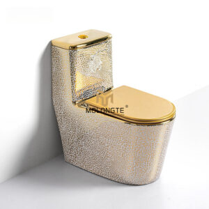 One Piece Toilet  A8105-B