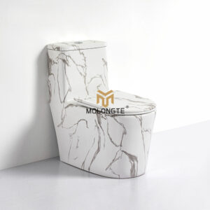 One piece toilet A8105-D