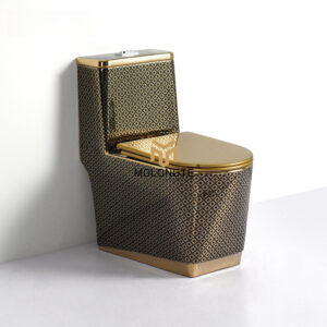 One piece toilet A8106-C