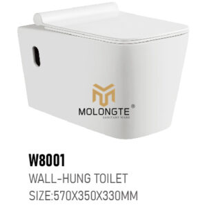 Wall-hung toilet W8001