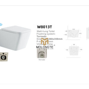 Wall-hung toilet W8013T