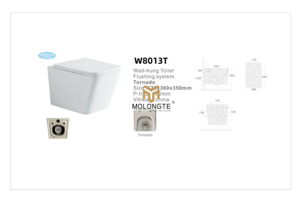 Wall-hung toilet W8013T