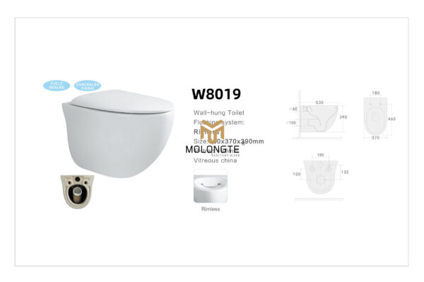 Wall-hung toilet W8019