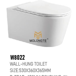 Wall-hung toilet W8022