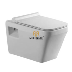 Wall-hung toilet W8027