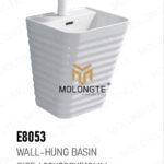 E8053