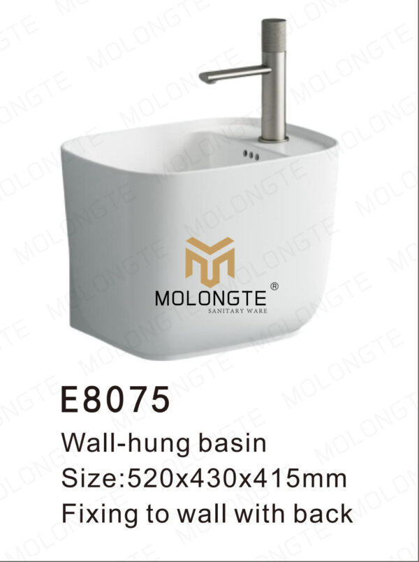 Wall-hung Basin E8075