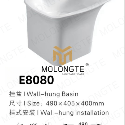 E8080