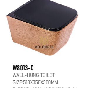 Wall-hung toilet W8013-C