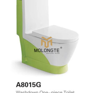 Washdown One piece toilet A8015G