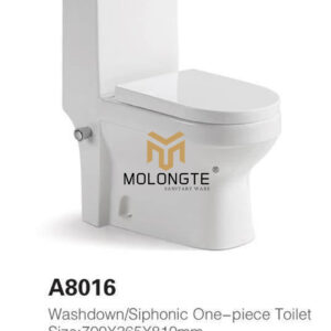 Washdown One piece toilet A8016