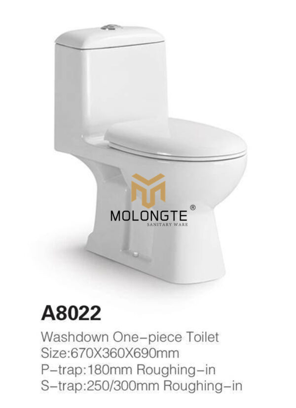 Washdown One piece toilet A8022